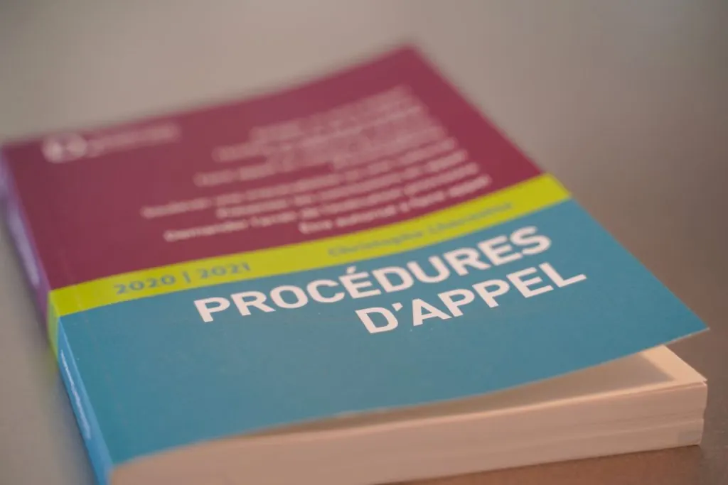 Procédures d’appel, 2020-2021, Dalloz, Delmas express, Christophe Lhermitte